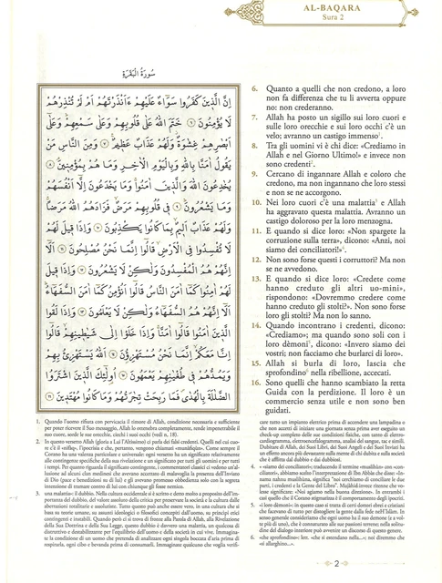 Il Sacro Corano E Traduzione Interpretativa In Italiano Corano e traduzione  in libro coreano italiano copertina in brossura copertina morbida Kuran