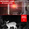 Изображение товара 3