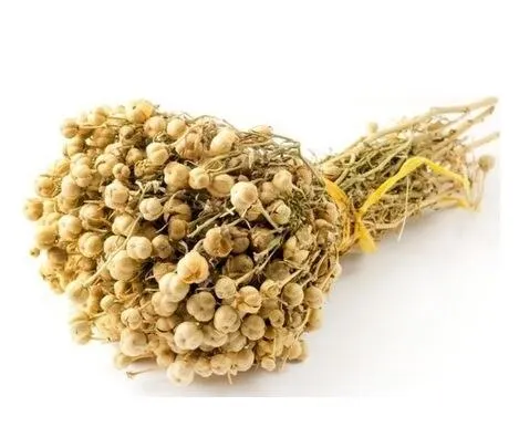 

Turkish High Quality Premıum Peganum Harmala , Harmal 2 Bunch Free Shipping