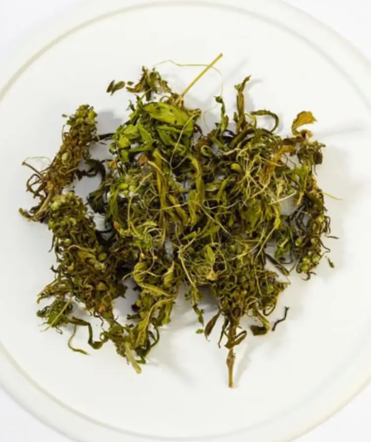 Чай Из Конопляных Листьев Купить