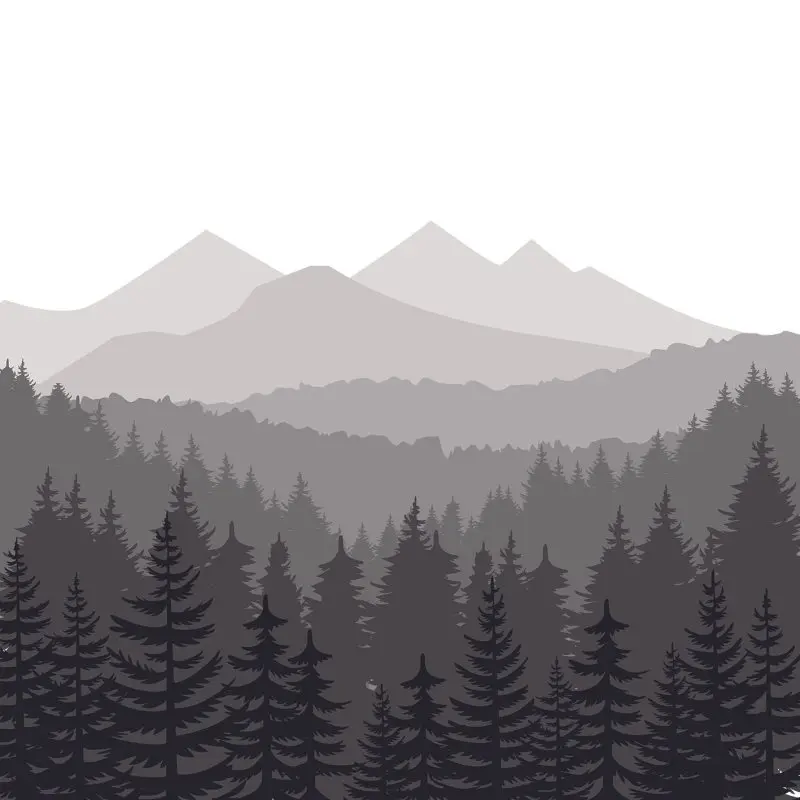 

Curtain Mountains and Pine Tree Forest Mystic Morning Wild Nature Landscape Silhouettes Black and Gray Photo Print