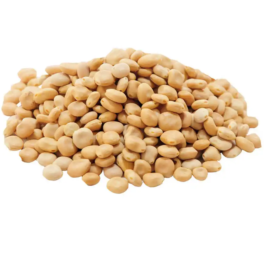 

Lupinus sp. Lupin 75-400 GR Free Shipping