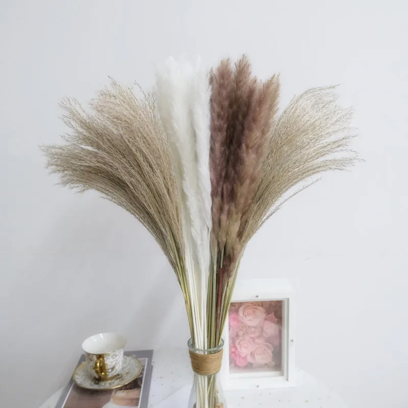 

Wheat Ears Rabbit Tail Grass Reed Pampas Natural Dried Flowers Bouquet Wedding Decoration Hay For Party Bohemian Home Room Decor