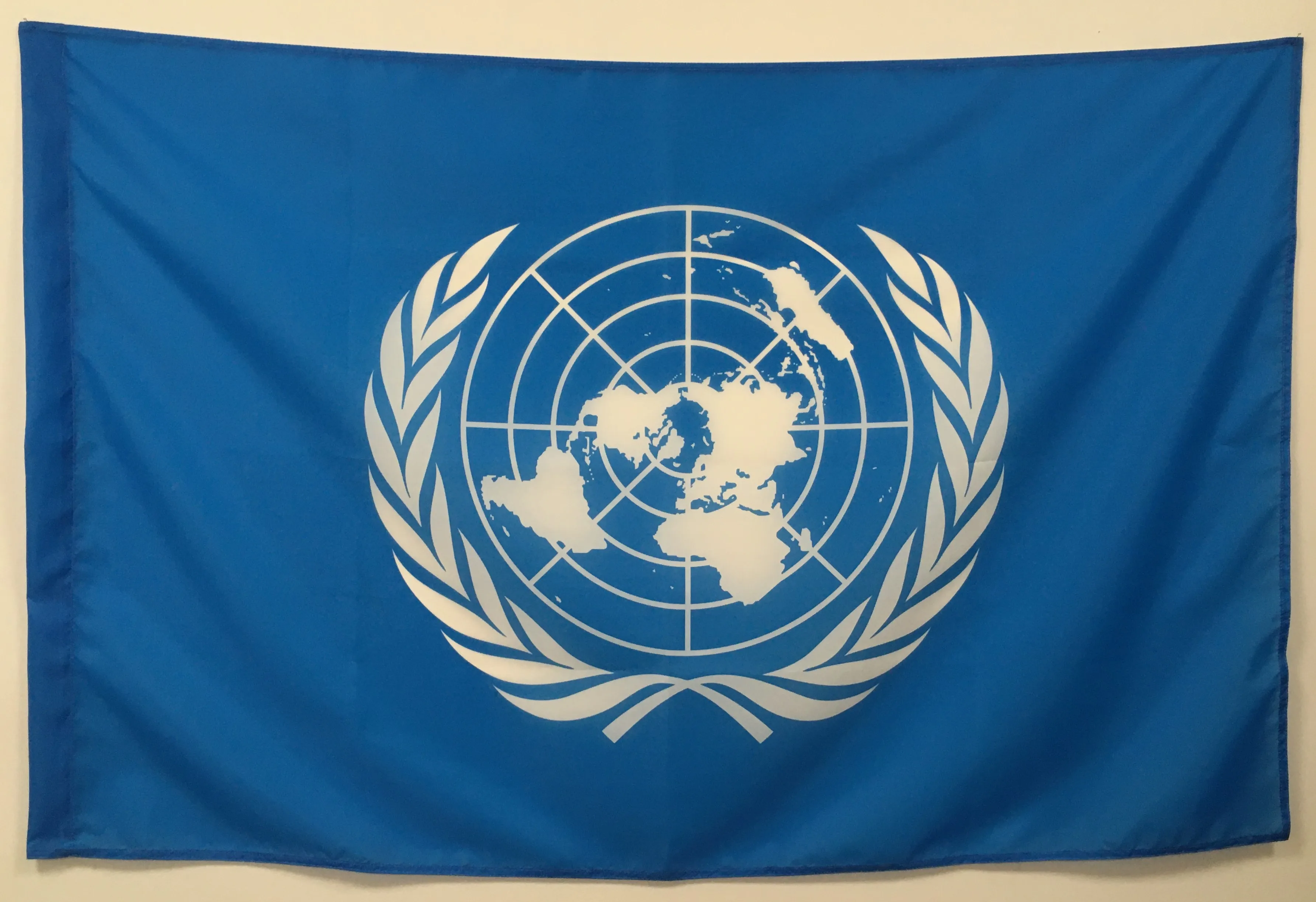 ветви дерева на флаге оон