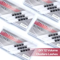 finydreamy diy 12 cluster eyelash extension%c2%a0bunch lashes segmented fake lash 3d natural russian volume individual mink eyelashes