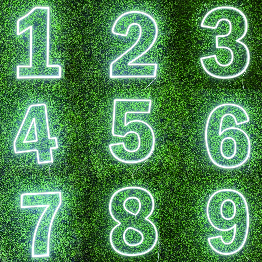 Giant Light Up Numbers For Party Happy Birthday Numbers LED Neon Sign Personalized Lights Indoor Bedroom Wall Decor