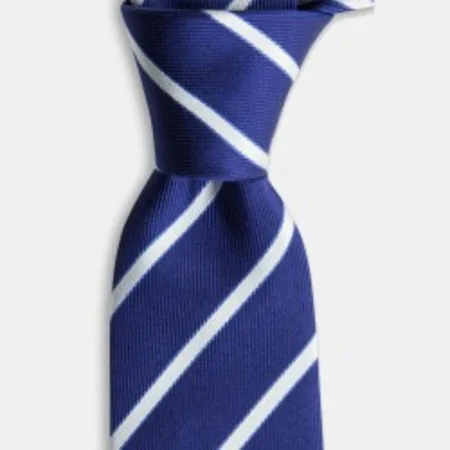 

Navy blue white striped silk tie 67825861