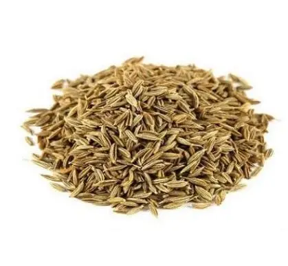

Семена Caraway-Carum Carvi 400 г Бесплатная доставка