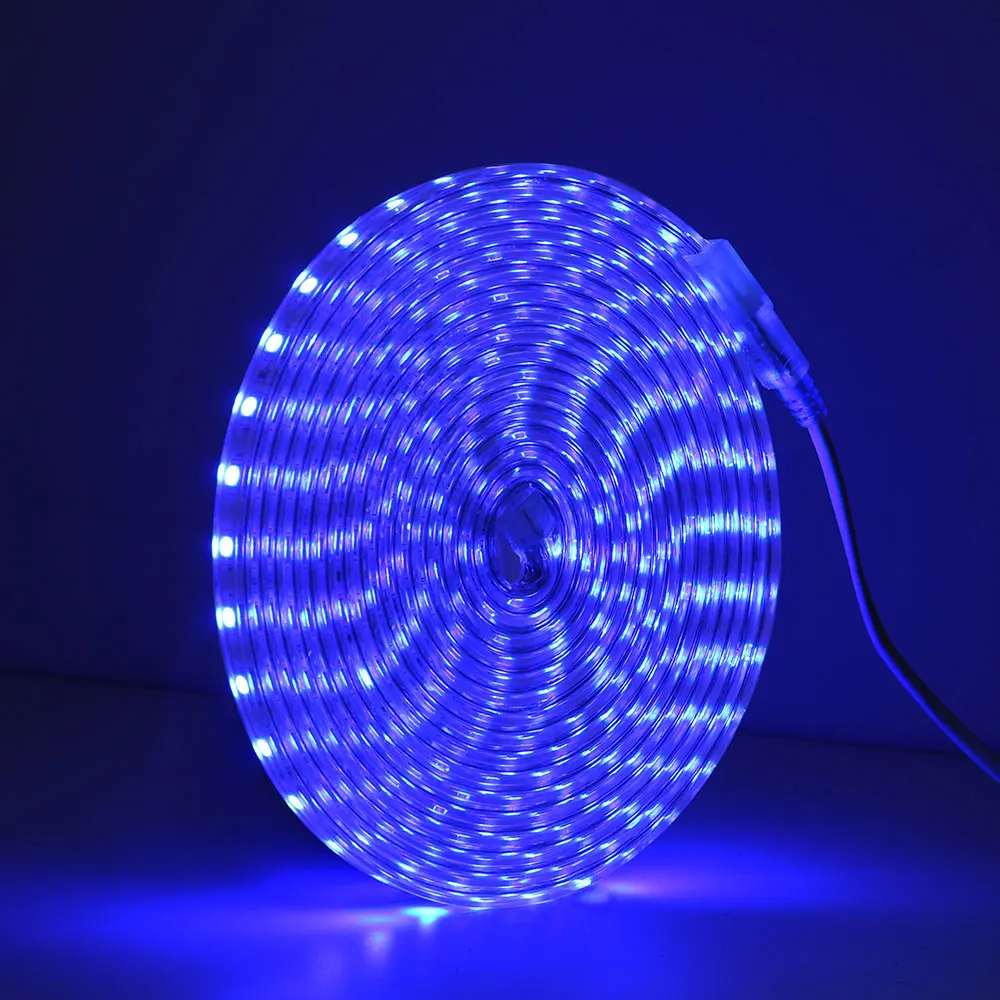 Blue AC220V светодиодный светильник SMD 5050 60 светодиодный s/m IP67 водонепроницаемый гибкий светодиодный светильник с переключателем ВКЛ/ВЫКЛ 1 м/2 м/3/4/5/6/7/8/9/ 10/20 м - Испускаемый цвет: Blue