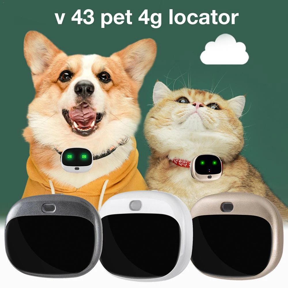 Lte + 3g Wcdma + 2g App em Tempo Waterpoof Rastreador & Wifi Mini Plataforma Livre Real Rastreamento Gps 4g Gsm