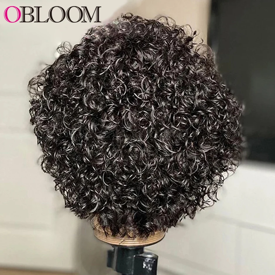 Short Curly Pixie Cut Wig 13x4 Lace Front Human Hair Wigs Pre plucked Remy Brazilian Hair Wigs For Black Women With Baby Hair enlarge