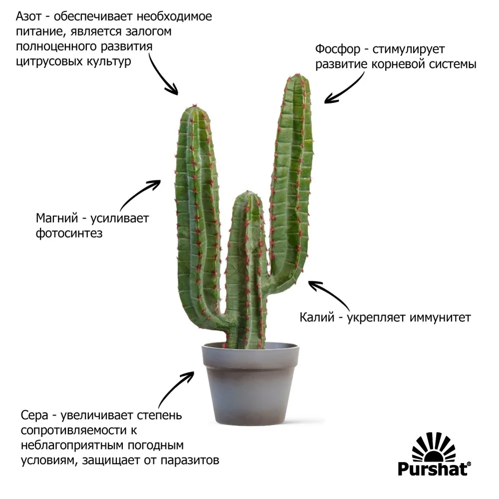 Удобрение Пуршат спрей для кактусов и суккулентов минеральное жидкое 500 мл |