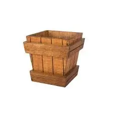 

Flora Wooden Potted Beech Tree 17 * 17 * 17 cm