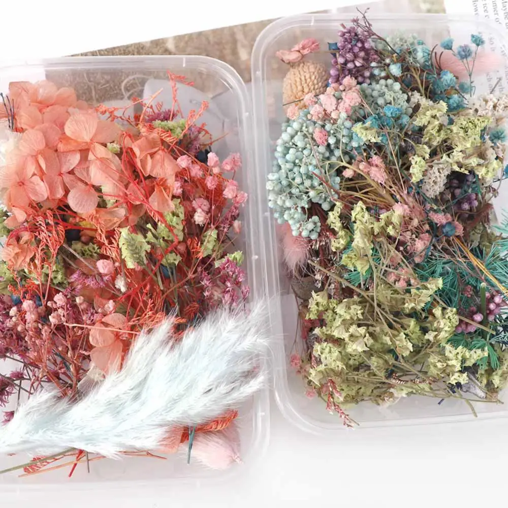 

1 Box Mixed Real Dried Flowers Dry Plants Pressed Flowers For Epoxy Resin Pendant Necklace Jewelry Making Craft DIY Accessories
