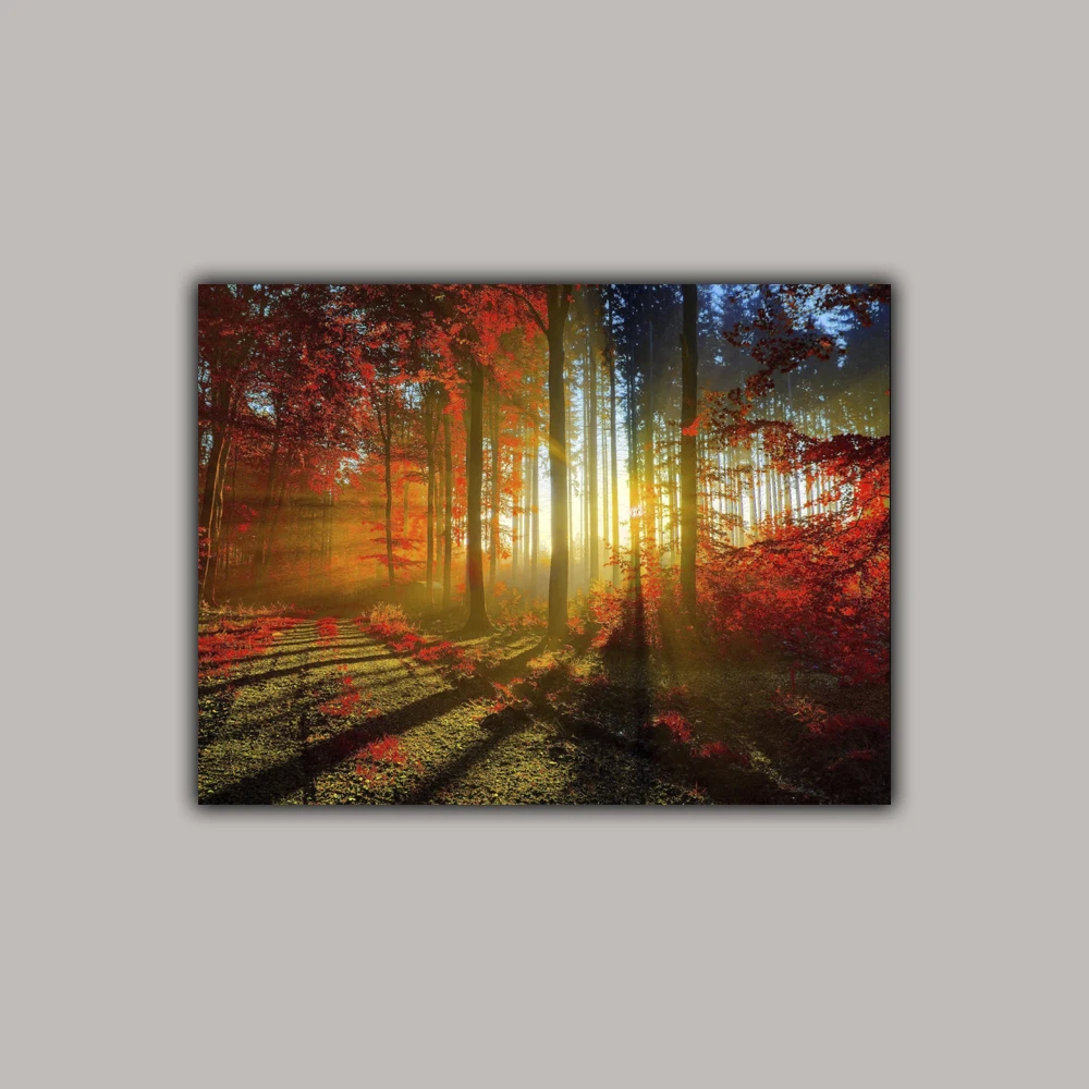 

Flower nature room decor home wall poster wall art poster one piece house room decoration teenager painting free shipping