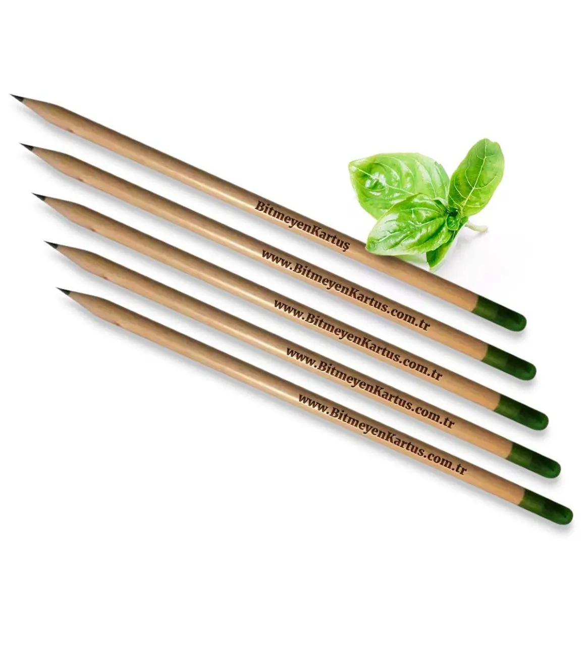 Персонализированные Семена базилика зеленый карандаш (10 шт)|Колпачки| |