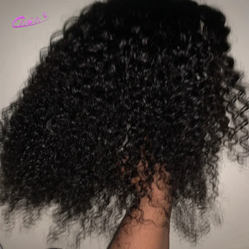 Кудрявые человеческие волосы парики для женщин бразильские черных 150% плотность