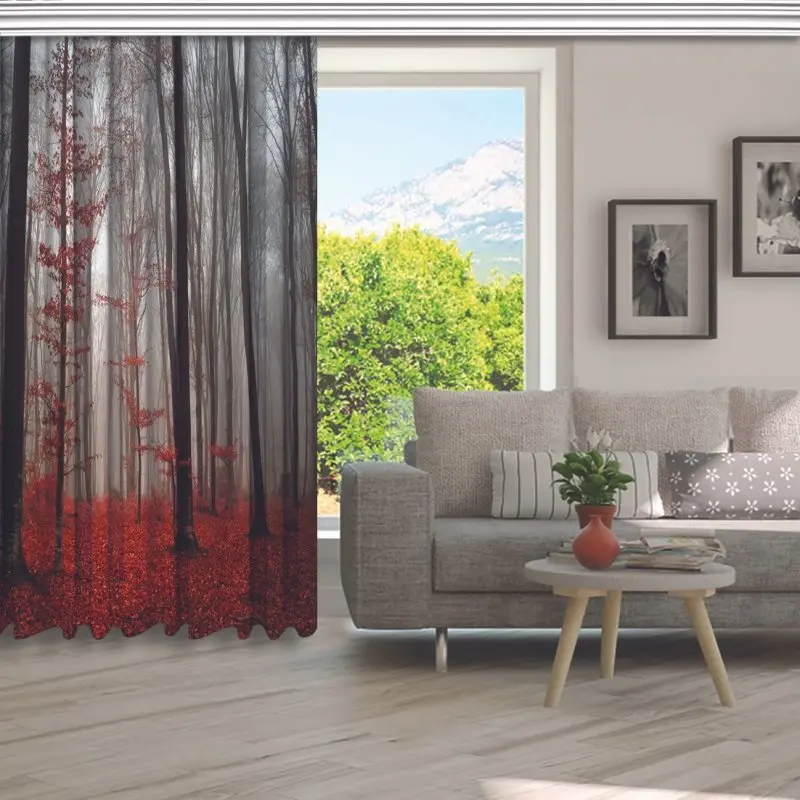 Занавес Мистик ЛЕС ДЕРЕВЬЯ красные листья туманный утренний вид осень Природа
