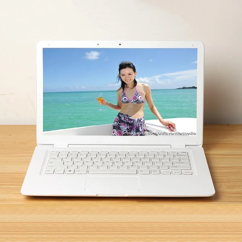 14 1 дюймов Тетрадь Intel Pentium 8 Гб Оперативная Память 500 или 750 HDD ноутбука WI-FI Windows 10