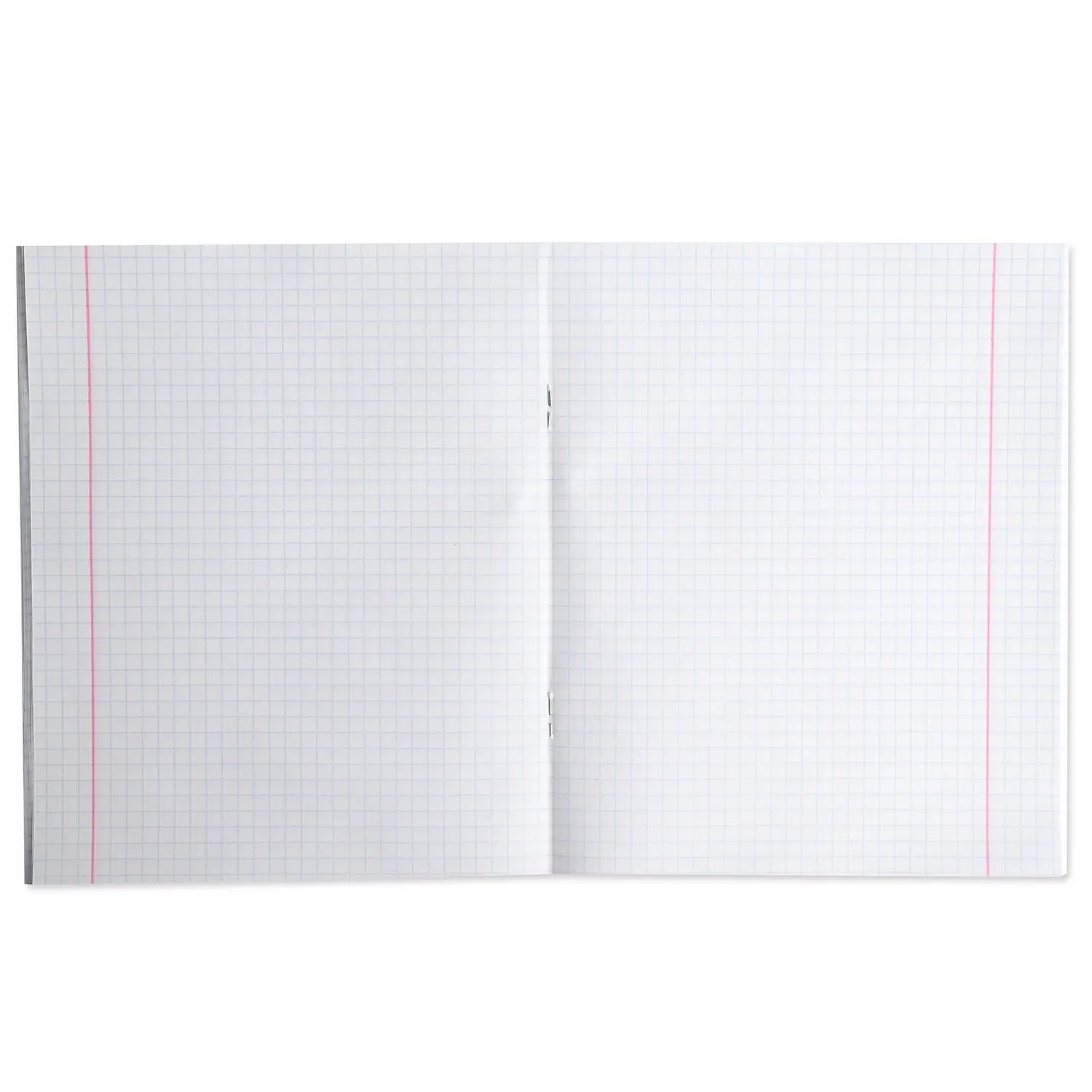 Notebook silwerhof A5 infographic cage 48L in assortment | Канцтовары для офиса и дома