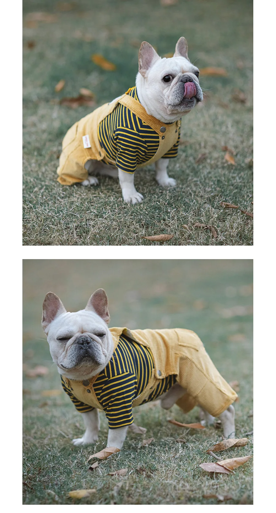 Dog Jumpsuits with Striped | Jumpsuits for Small and Medium Dog | Warm Clothing for Dog