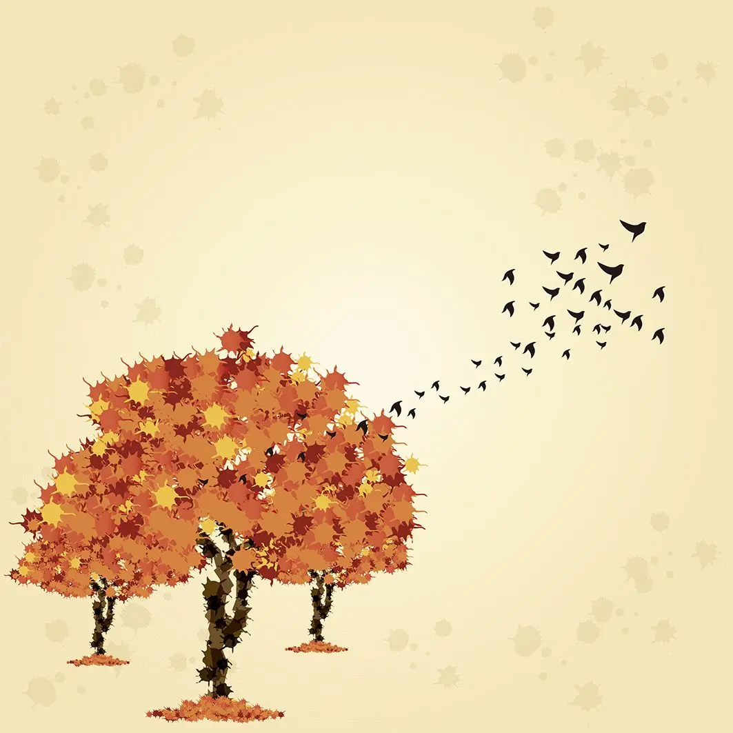 Занавески для душа Осенние деревья и птицы летающие в Южную сельскую природу