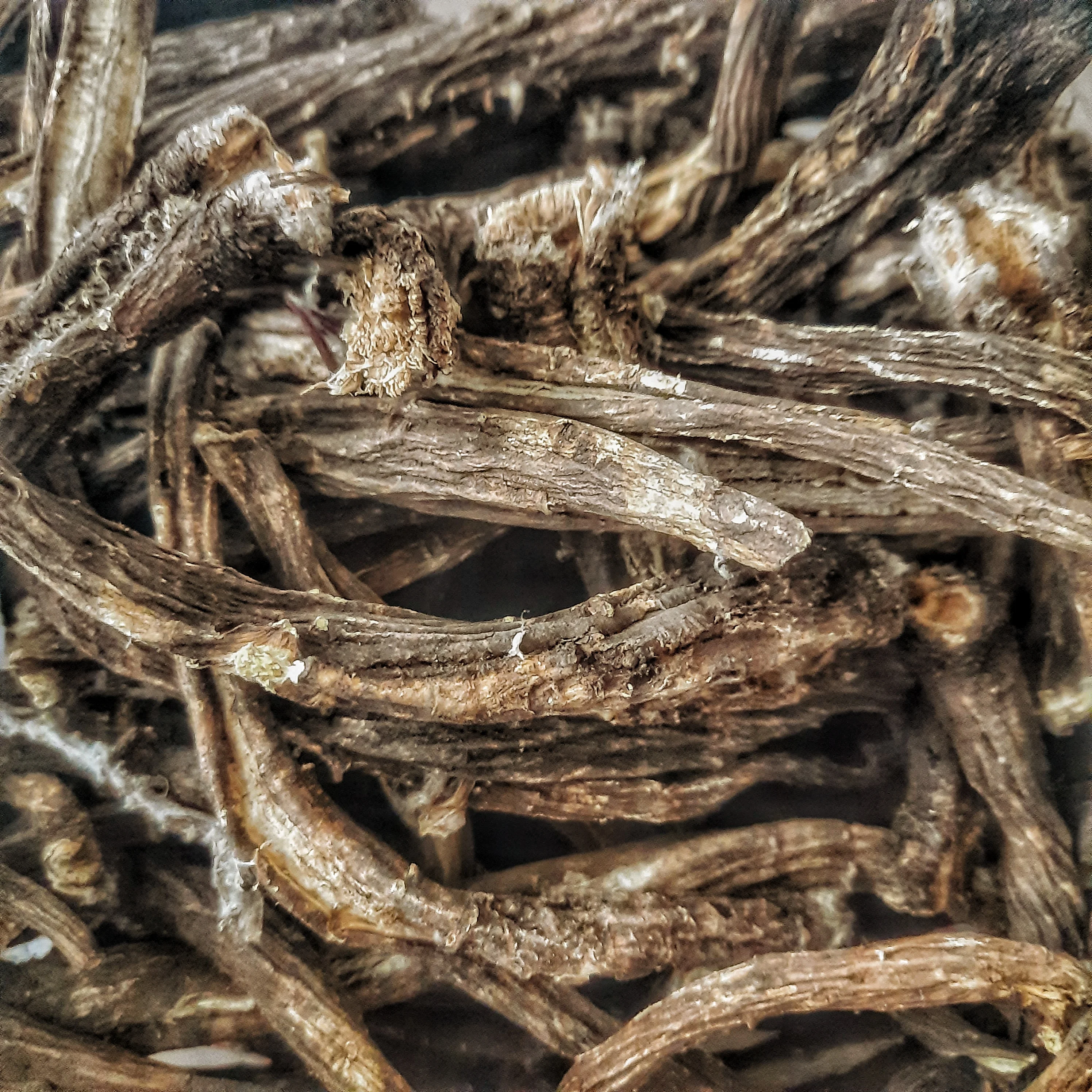 Корень лопуха 1 кг купить доступная цена с хорошим описанием всех полезных