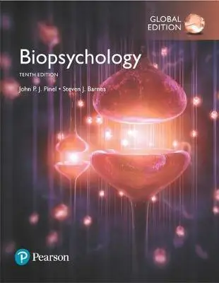 

Биопсихология, глобальное издание, физиология и нейрология, биопсихология нейрология и клиническая нейрология