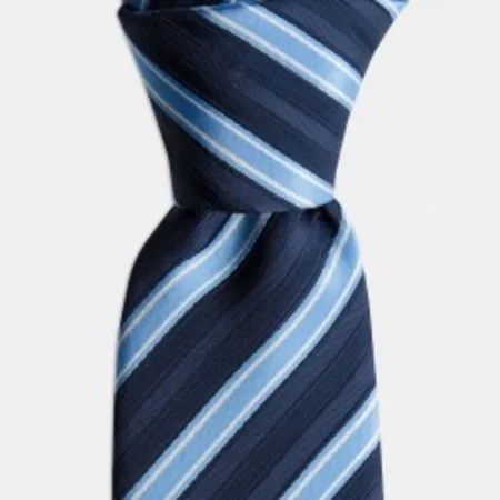

Blue Stripe Navy Tie 67826454