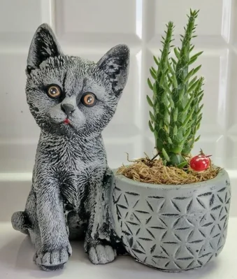 

PET Design Cat Pot