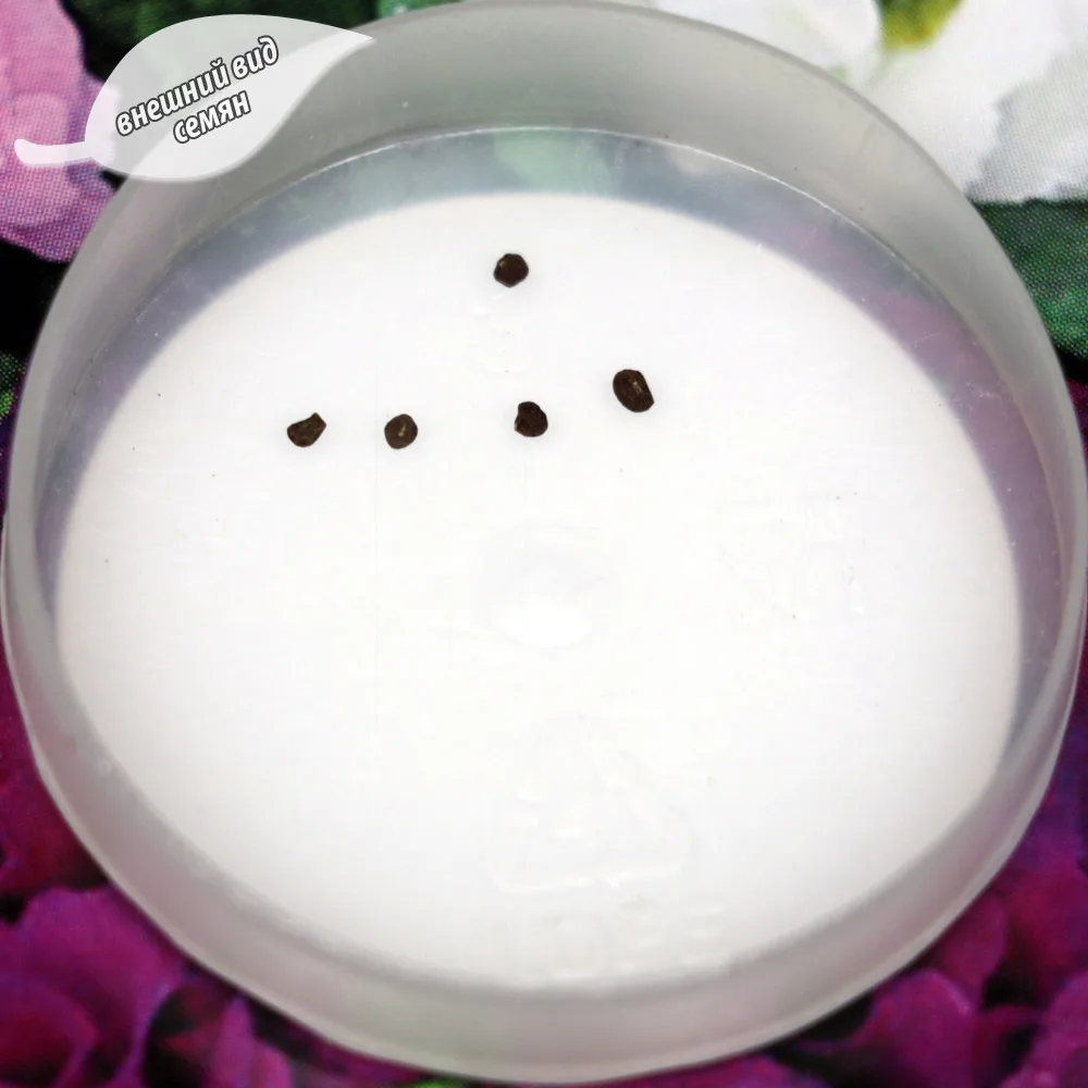 Семена Примула комнатная махровая Розелла Микс (2 пакетика по 5шт в каждом) | Дом и