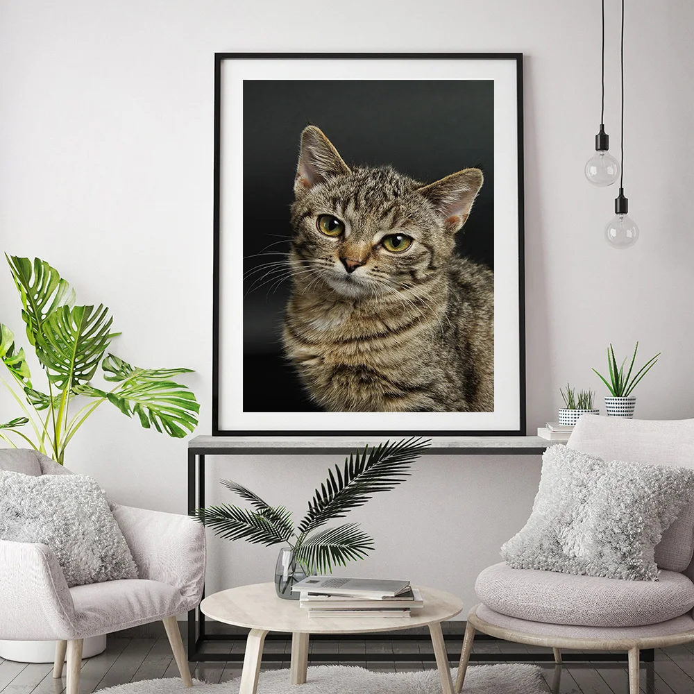 Большой размер печать картина маслом настенная живопись животное фотография