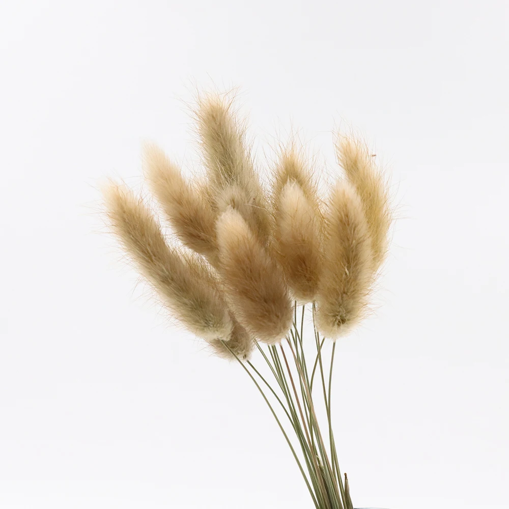 60 шт./пакет настоящие цветы для украшения дома компоновка хвост кролика трава