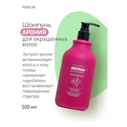 Pedison Шампунь для волос АРОНИЯ Institute-beaute Aronia Color Protection Shampoo, 500 мл