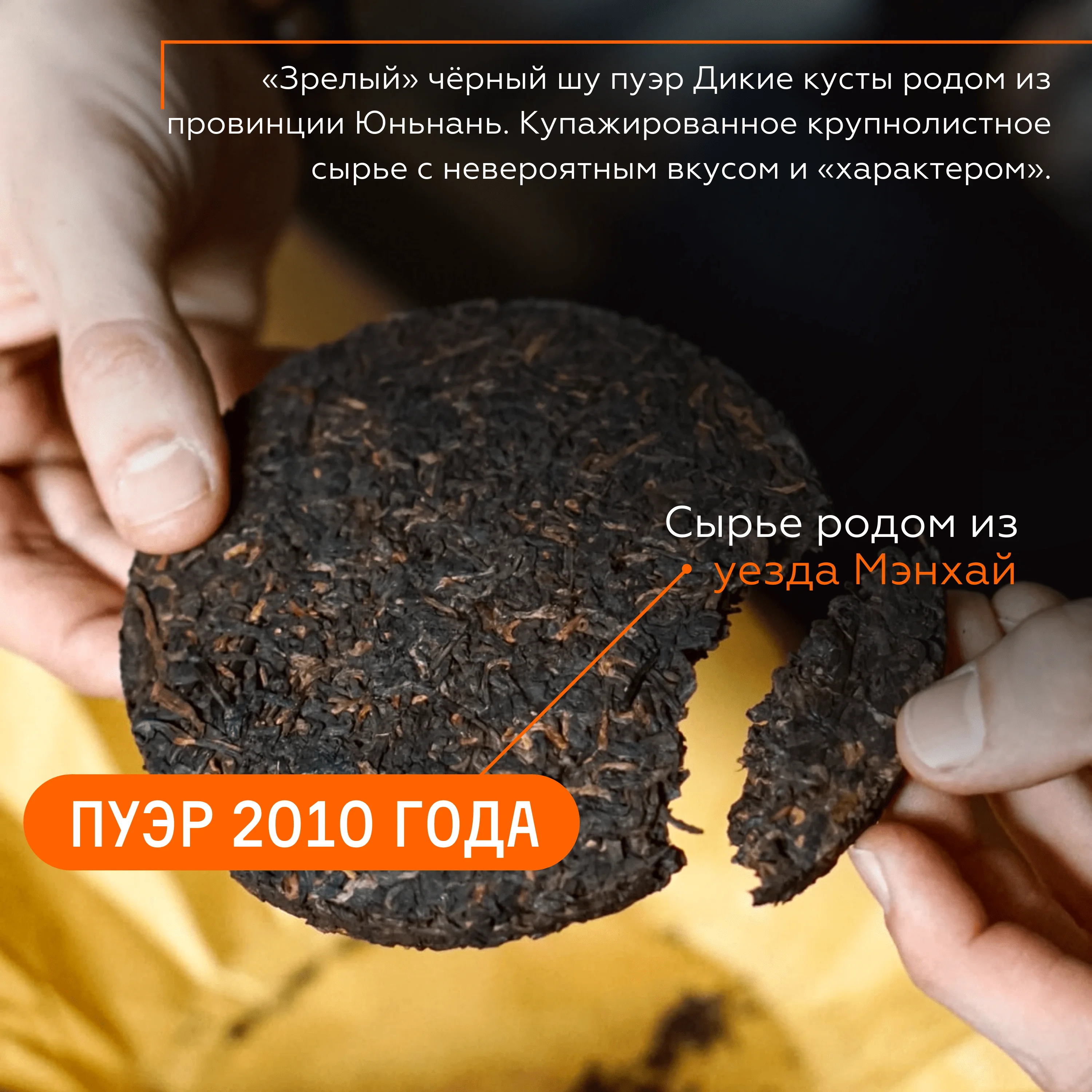 Чай Пуэр Шу Дикие Кусты от Чайной Мастерской | Китайский Прессованный Черный В