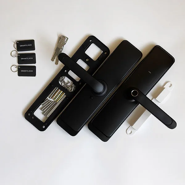 &quotSmart Lock-H 35B" (black). Умный биометрический электронный замок. |