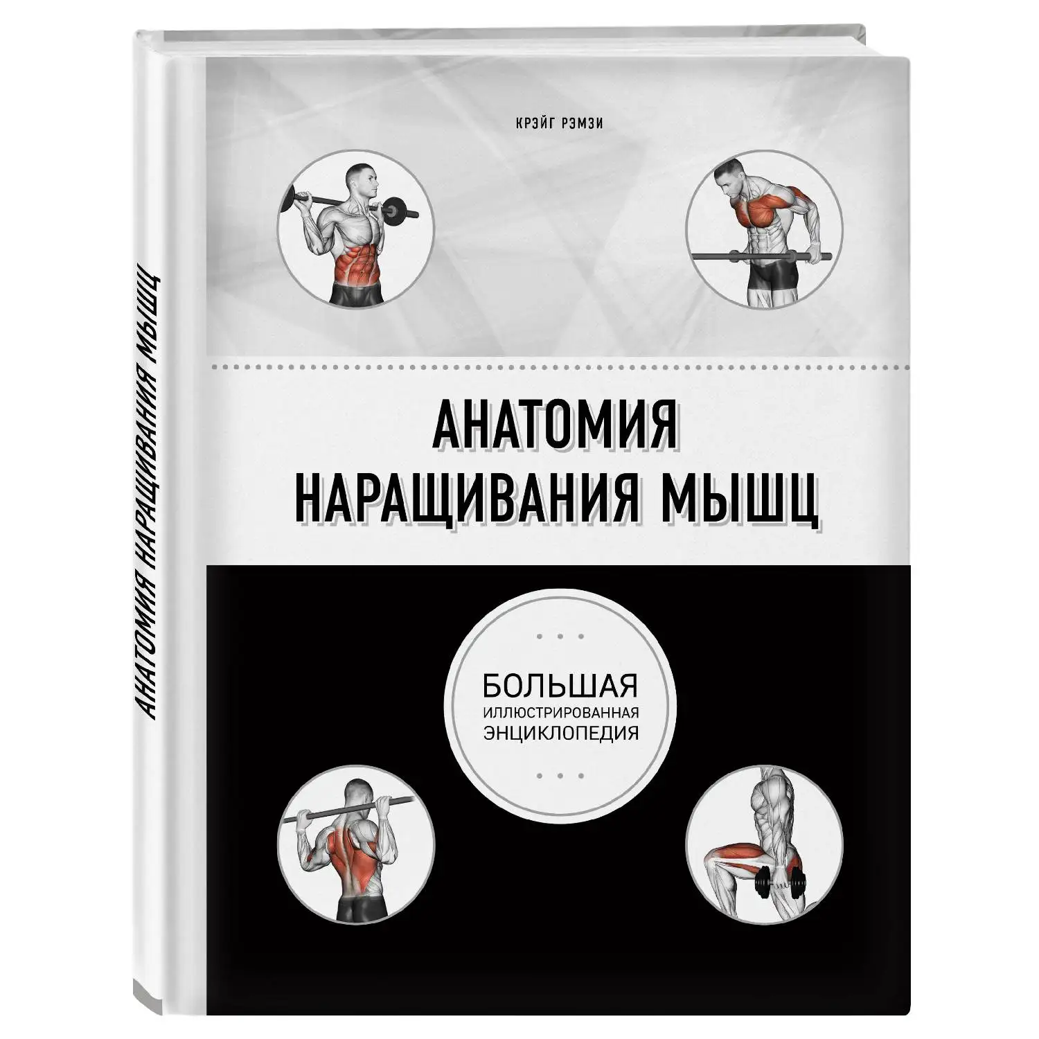 Анатомия наращивания мышц. Крэйг Рэмзи (978 5 04 090412 9)|Спорт и отдых| |