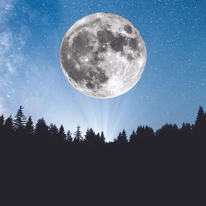 Занавеска для душа Супер Луна звезды Млечный Путь ночной вид с сосновым деревом