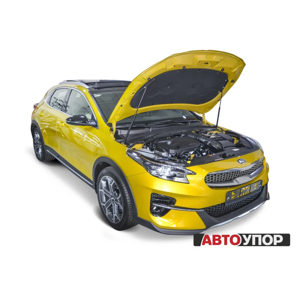 For Kia Ceed (Kia Sid) III 2018- /Xceed 2020-gas stops (shock absorbers) Hood auto stop (ukicee041) | Bumpers