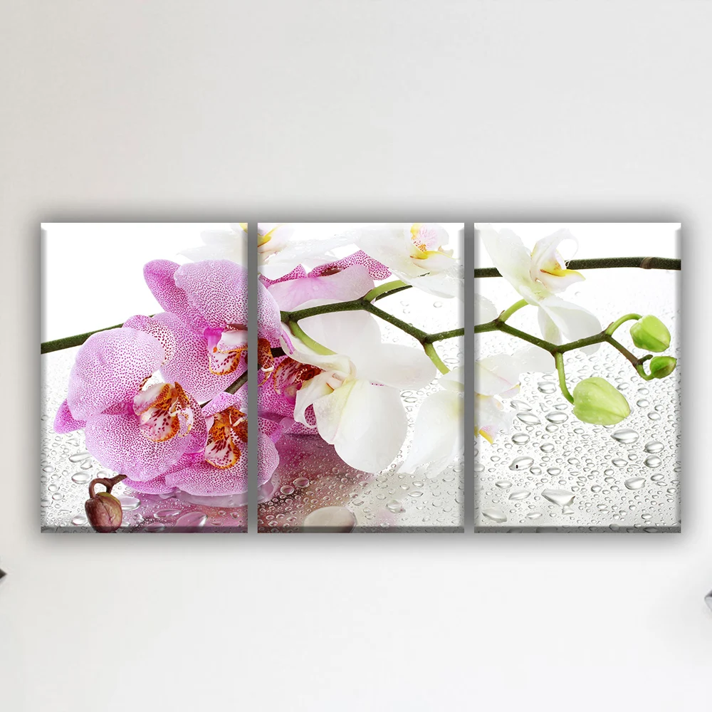 Орхидея с каплями цветы ветка орхидеи. Модульная картина на холсте 3 модуля