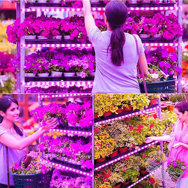 

New LED Full Spectrum Phyto Lamp USB 5V Plant Grow Light Strip 0.5m 1m 2m 3m 2835 SMD Plants Flowers LED Greenhouse Hydroponic