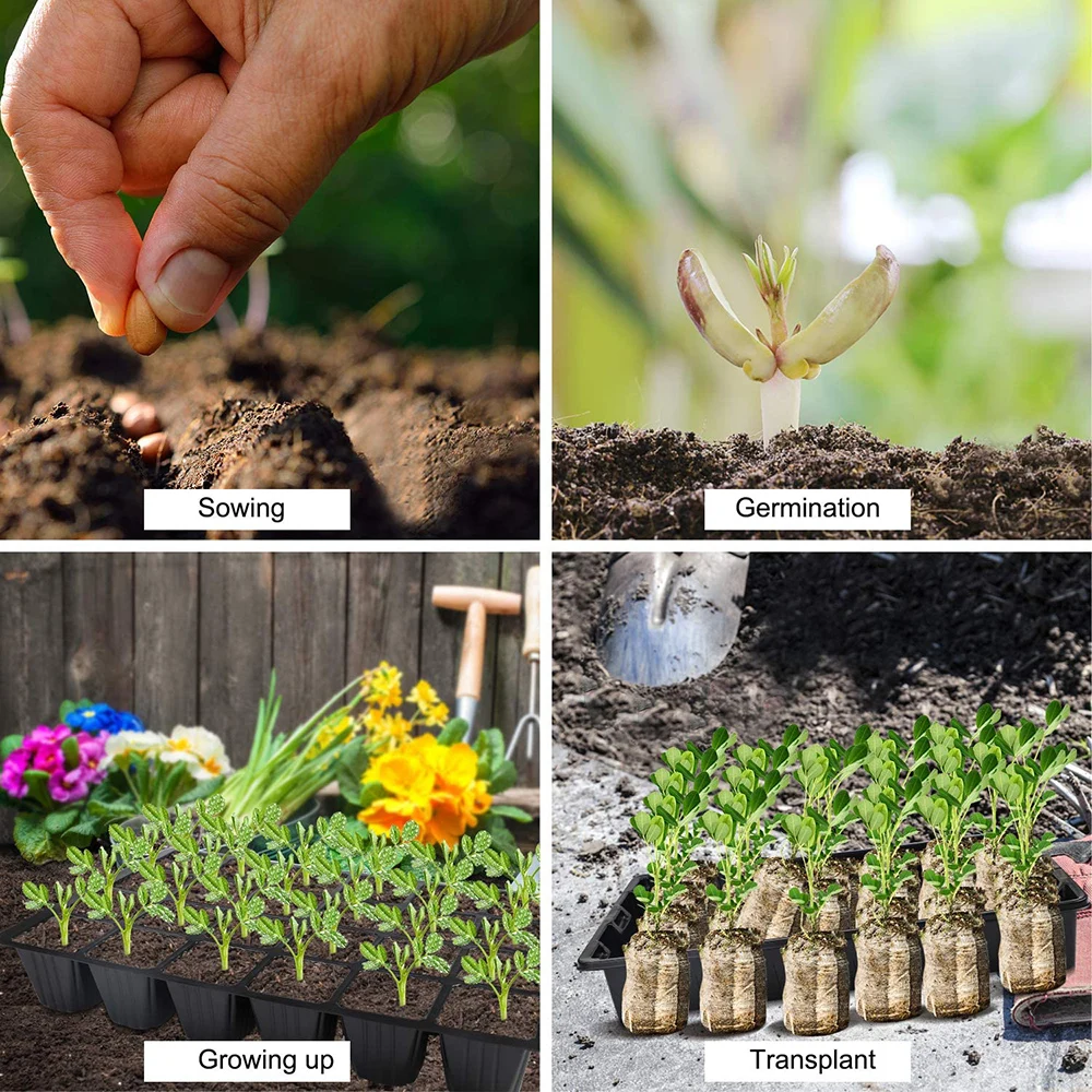 

5 Pack Seeds Seedling Tray Sprout Plate 24-Cells Flower Pot Nursery Pots Humidity Adjustable Switch With Lids Box For Gardening