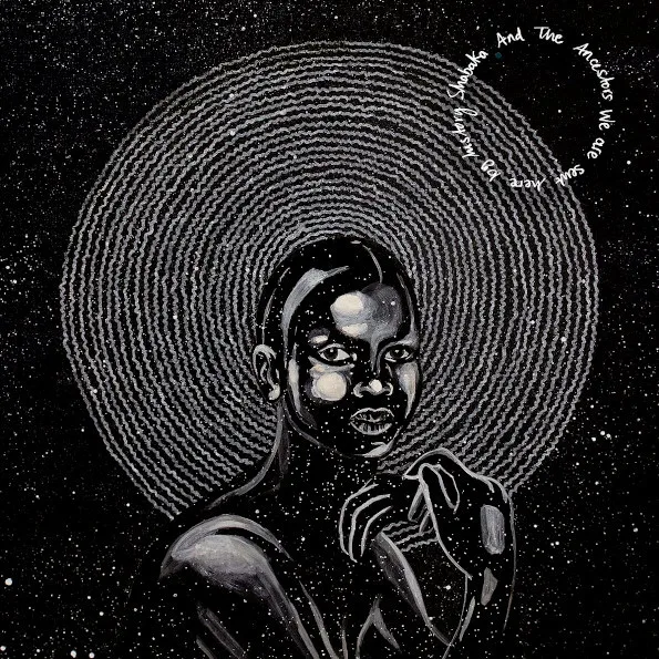 Shabaka And The Ancestors / We Are Sent Here By History (2LP)|Проигрыватели DVD| |