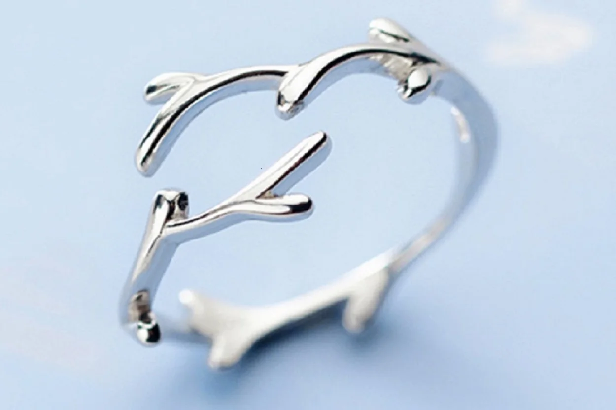 

Adjustable ornament with branch ring opening