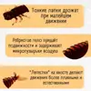 Изображение товара 3