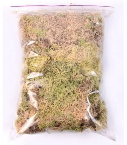 Мох сфагнум 1 литр|Укрытие для растений| |