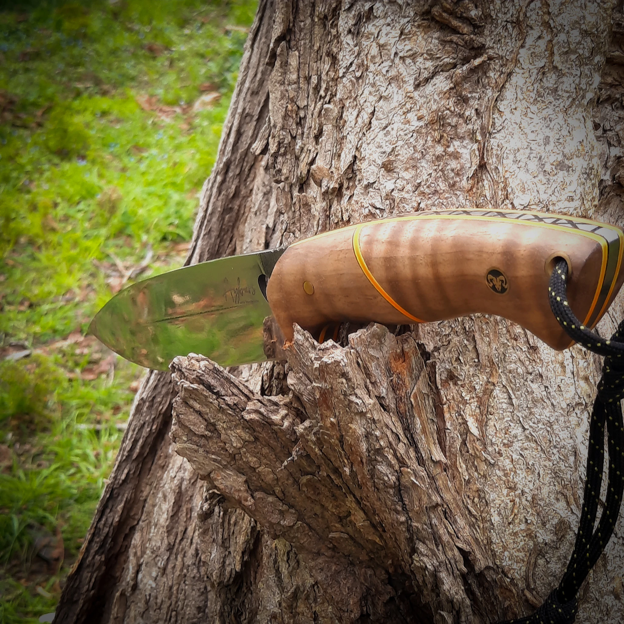 

Hunting Knife N690 Fixed Blade 60HRC Tactical Bushcraft Camping Outdoor Survival Knives Walnut Handle Stainless Steel