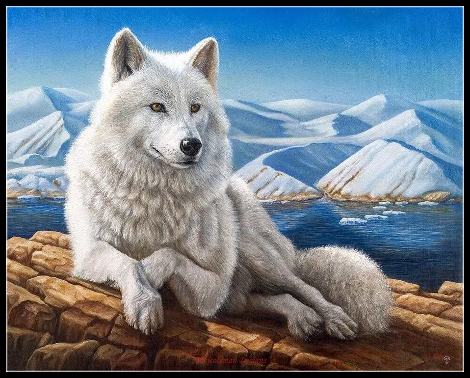 

Embroidery Counted Cross Stitch Kits Needlework - Crafts 14 ct DMC DIY Arts Handmade Decor - White Wolf