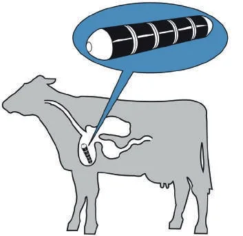 Селвет™Таблетки для овец и крупного рогатого скота магнитный зонд