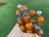 Изображение товара 5